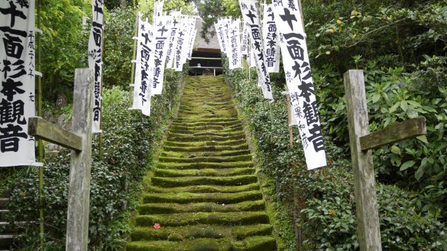 Moss stairs