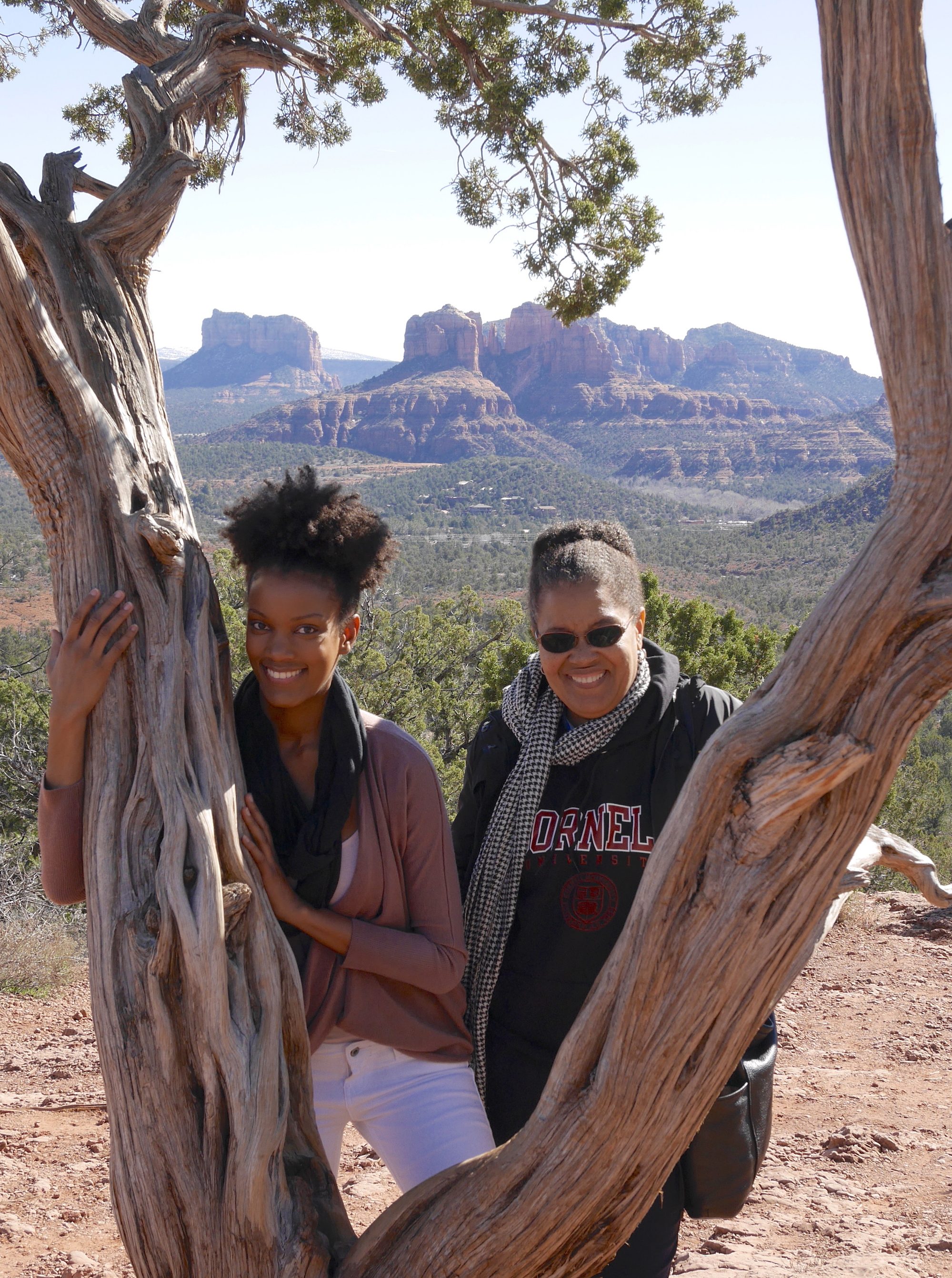 Cathedral Rock in the background